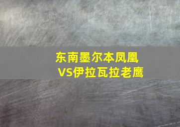 东南墨尔本凤凰VS伊拉瓦拉老鹰