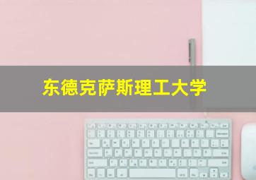 东德克萨斯理工大学