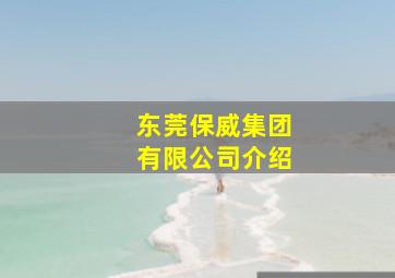 东莞保威集团有限公司介绍