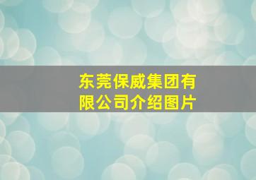 东莞保威集团有限公司介绍图片