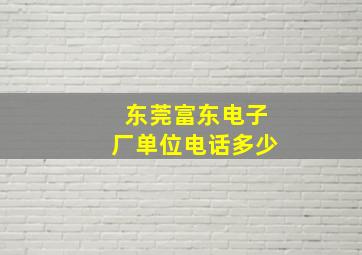 东莞富东电子厂单位电话多少