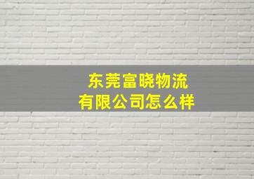 东莞富晓物流有限公司怎么样