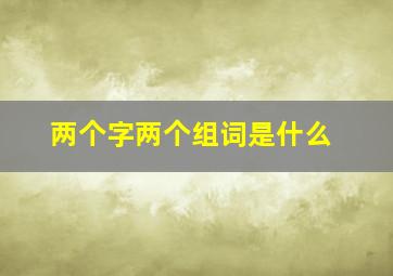 两个字两个组词是什么