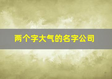 两个字大气的名字公司