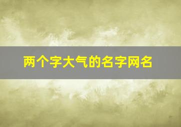 两个字大气的名字网名