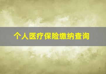 个人医疗保险缴纳查询