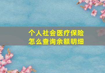 个人社会医疗保险怎么查询余额明细