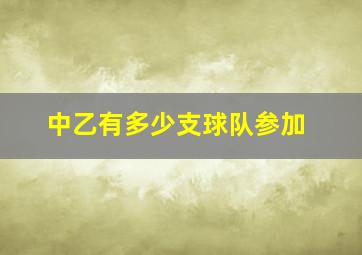 中乙有多少支球队参加