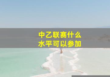 中乙联赛什么水平可以参加