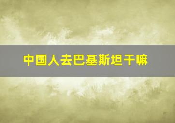 中国人去巴基斯坦干嘛