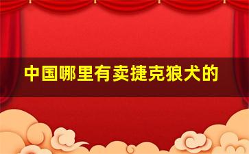 中国哪里有卖捷克狼犬的