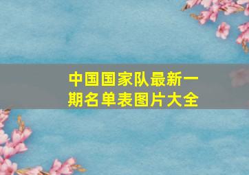 中国国家队最新一期名单表图片大全