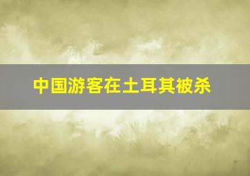 中国游客在土耳其被杀