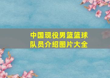 中国现役男篮篮球队员介绍图片大全