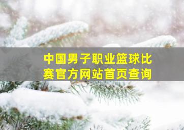 中国男子职业篮球比赛官方网站首页查询