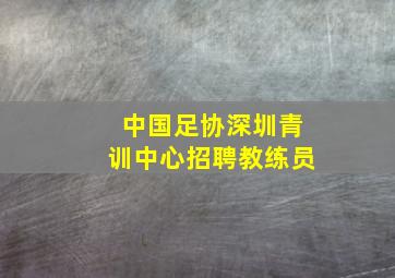 中国足协深圳青训中心招聘教练员