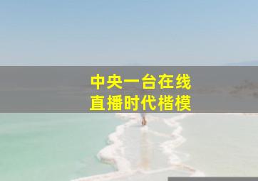 中央一台在线直播时代楷模