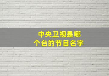 中央卫视是哪个台的节目名字