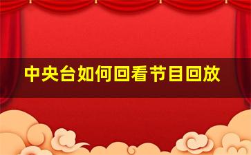 中央台如何回看节目回放