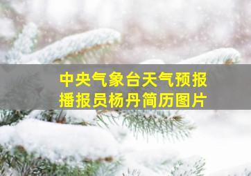 中央气象台天气预报播报员杨丹简历图片