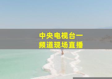 中央电视台一频道现场直播