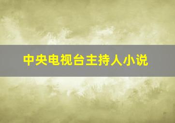 中央电视台主持人小说