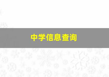 中学信息查询