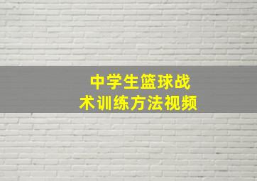 中学生篮球战术训练方法视频