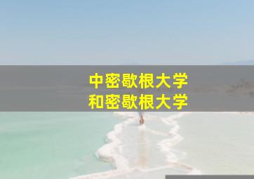 中密歇根大学和密歇根大学