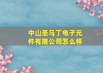 中山圣马丁电子元件有限公司怎么样