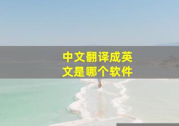 中文翻译成英文是哪个软件