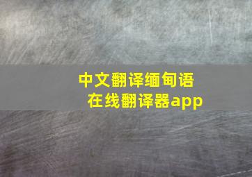 中文翻译缅甸语在线翻译器app