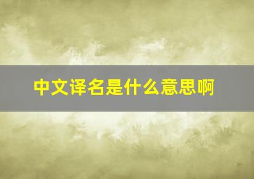 中文译名是什么意思啊