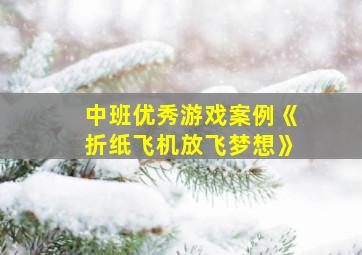 中班优秀游戏案例《折纸飞机放飞梦想》