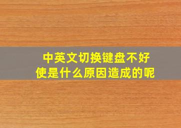 中英文切换键盘不好使是什么原因造成的呢