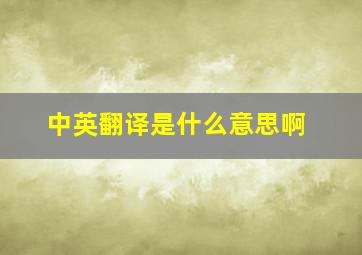 中英翻译是什么意思啊