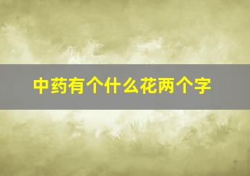 中药有个什么花两个字