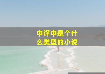 中译中是个什么类型的小说