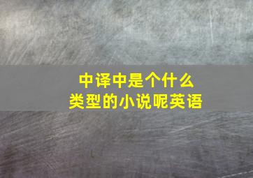 中译中是个什么类型的小说呢英语