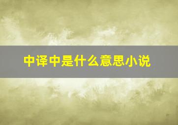 中译中是什么意思小说