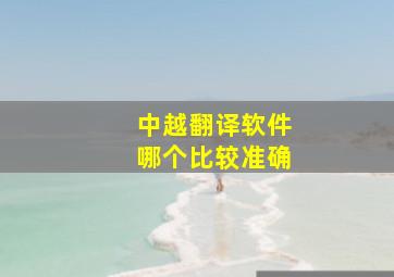 中越翻译软件哪个比较准确