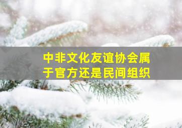 中非文化友谊协会属于官方还是民间组织