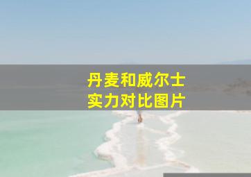 丹麦和威尔士实力对比图片