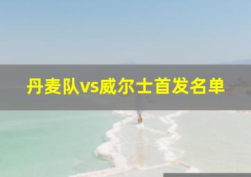 丹麦队vs威尔士首发名单