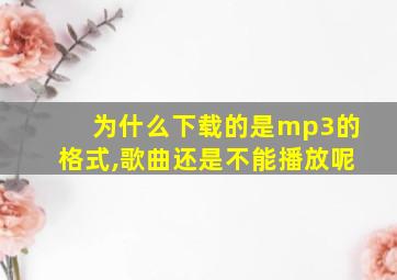 为什么下载的是mp3的格式,歌曲还是不能播放呢