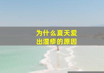 为什么夏天爱出湿疹的原因