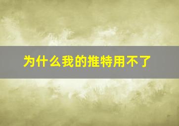 为什么我的推特用不了