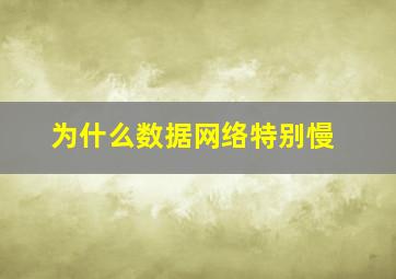 为什么数据网络特别慢