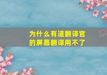 为什么有道翻译官的屏幕翻译用不了