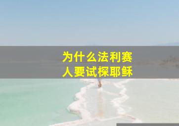 为什么法利赛人要试棎耶稣